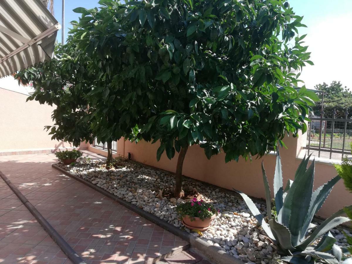 Apartments Merlin Novigrad  Exterior photo