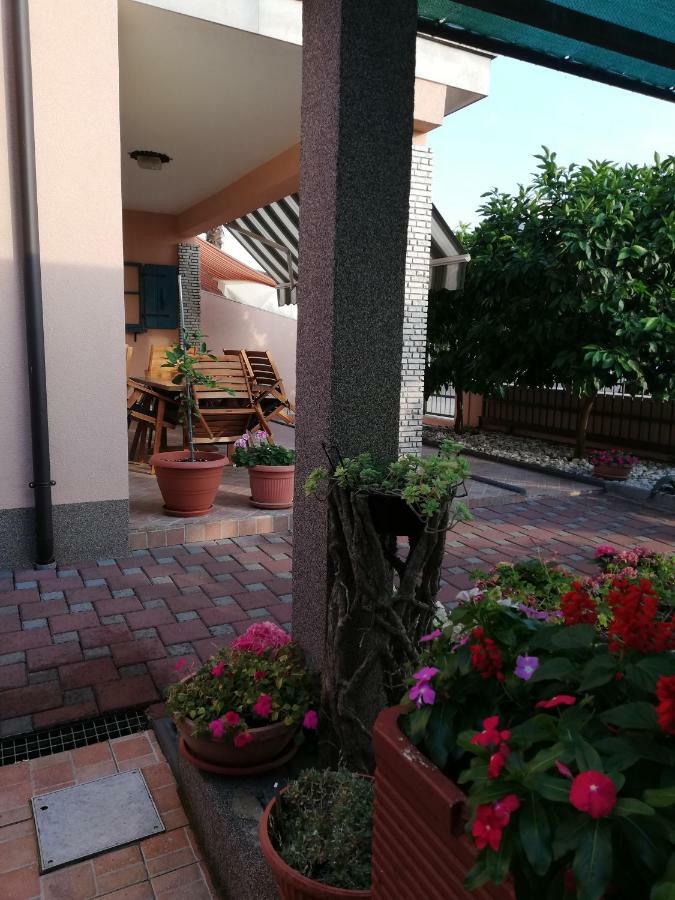 Apartments Merlin Novigrad  Exterior photo